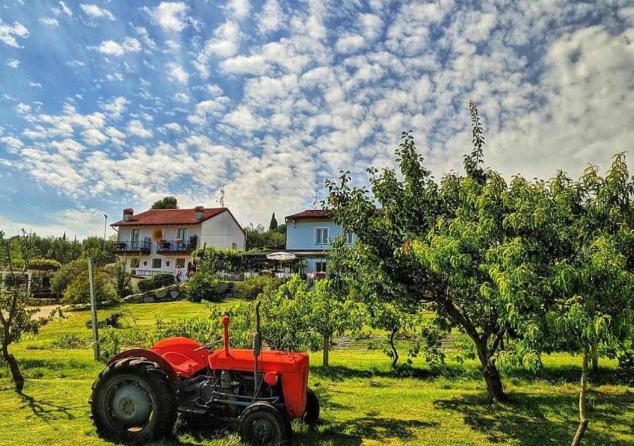 Agriturismo 30 Moniga del Garda Екстериор снимка